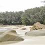 Mulgumpin (Moreton Island) - Cape Moreton Beach