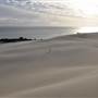 Mulgumpin (Moreton Island) - Big Sand Hills