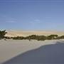 Mulgumpin (Moreton Island) - Little Sand Hills