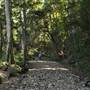 The Backlot, Bonogin - Dry River Bed