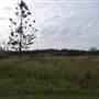 Bushland / Nature Reserve