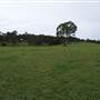 Bushland / Nature Reserve