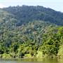 Mulgrave River (Cairns Region)