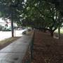 Oxford St, Bulimba
