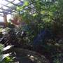 Queenspark Greenhouse