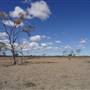 Isisford-Emmet Rd