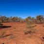 Age Of Dinosaurs (Rangelands)
