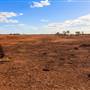 Age Of Dinosaurs (Rangelands)