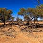 Rangelands Station