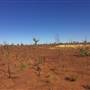 Winton-Jundah Road