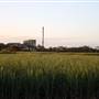 Rocky Point Sugar Mill