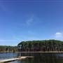 Pine Forest, Riverside Skate Park & Open Sports Fields - Pizzey Park