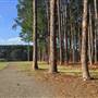Pine Forest, Riverside Skate Park & Open Sports Fields - Pizzey Park