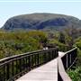 Mount Coolum