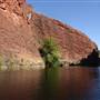 Lawn Hill Gorge (Camooweal Region)