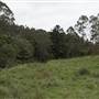 Cloverdale Farm