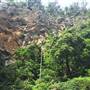 Purling Brook Falls - Springbrook National Park