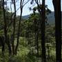 High Country Dirt Track