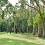 Townsville Region - Toomulla Beach