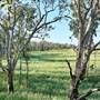 Townsville - Town Common