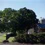 Forest Hill - Township