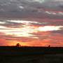 Barcaldine
