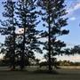 The Secret Forest - Oxley Creek Common