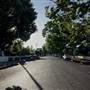 Tree-Lined Street
