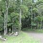 Dirt Road / Wilderness / Pastures