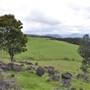 Rolling Hills & Rural Valley Road