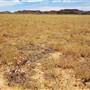 Winton Hills