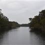 Harrys Hut Area (Noosa Everglades)