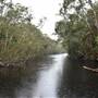 The Narrows (Noosa Everglades)