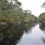 The Narrows (Noosa Everglades)