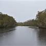 Lake Como (Noosa Everglades)