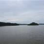 Lake Cootharaba (Noosa Everglades)