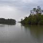 Johns Landing (Noosa Everglades)