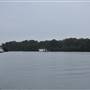 Noosa Everglades - Tewantin Docks