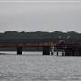 Noosa Everglades - Tewantin Docks