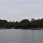 Noosa Everglades - Makepeace Island