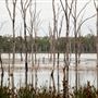 Wooroolin Wetlands