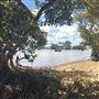 Coochiemudlo Island