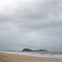 Palm Cove - Beach / Coastline