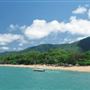 Palm Cove - Beach / Coastline
