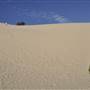 Mulgumpin (Moreton Island) - Big Sand Hills