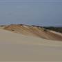 Mulgumpin (Moreton Island) - Big Sand Hills