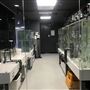 Sea Jelly Exhibit & Research Laboratory - Sea World Gold Coast