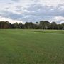 Coombabah Lakelands Conservation Area - Open Field & Forest