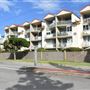 Kirra Beach - Streets & Beach