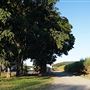 Mossman - Township